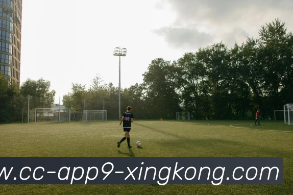 星空体育APP 封面图